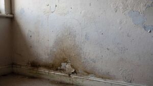 Come eliminare l'umidità di risalita dai muri? La soluzione efficace che in pochi conoscono